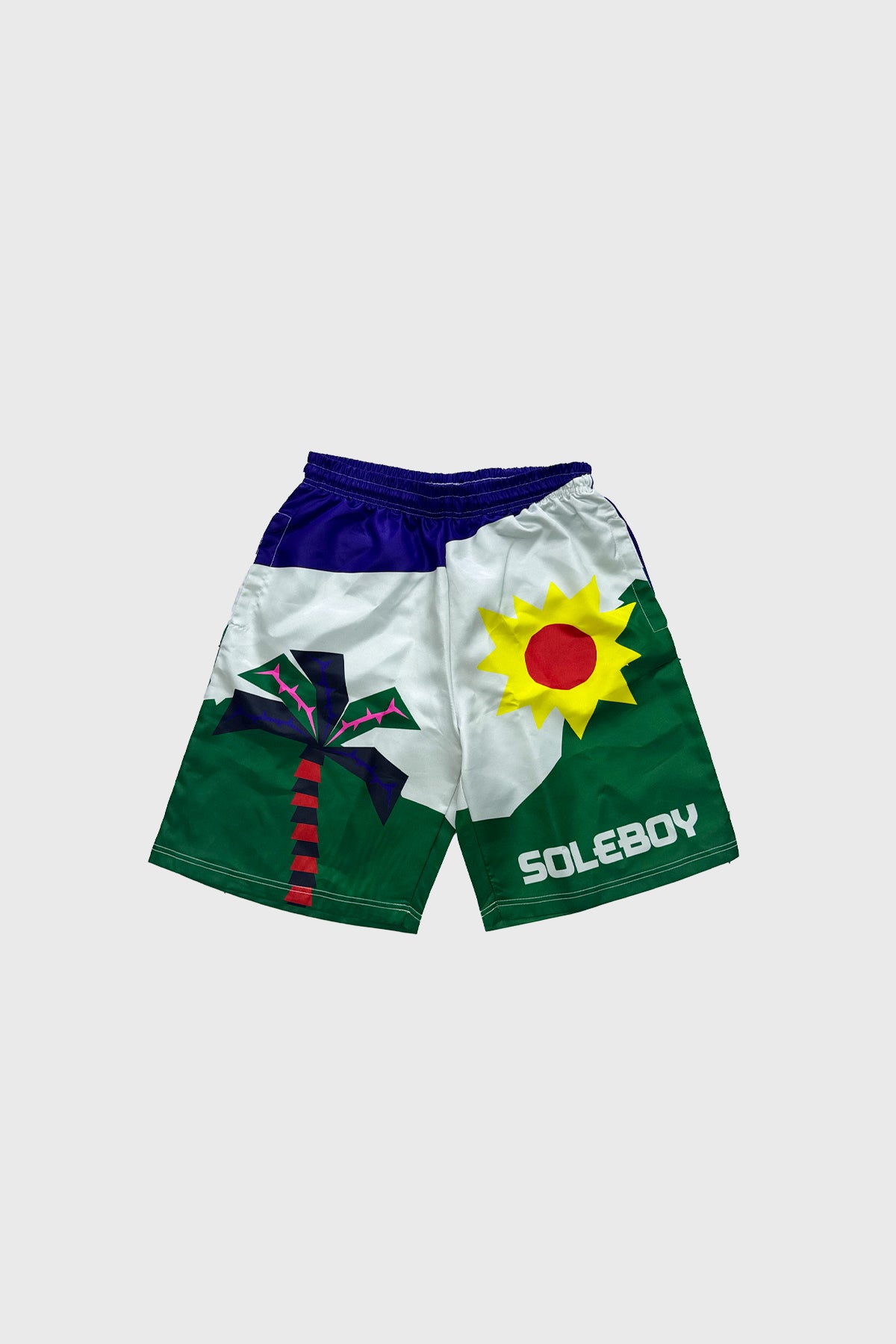 Haiti Island Shorts